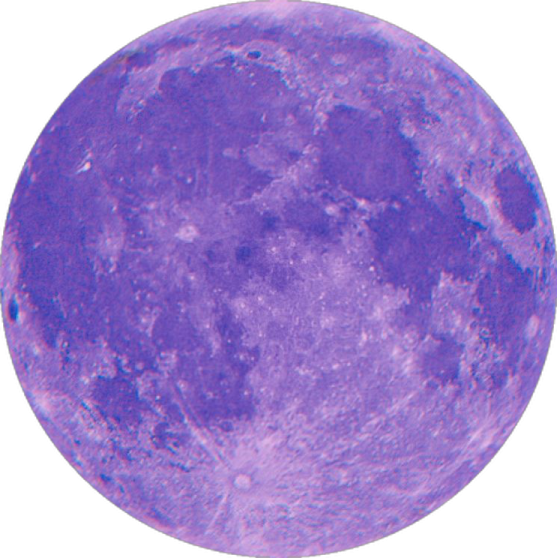 an image of the moon