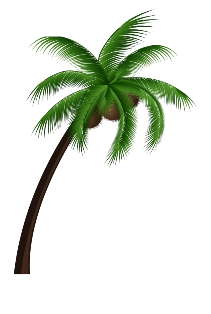 a palm tree on a white background