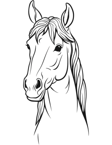 a horse's head in black and white