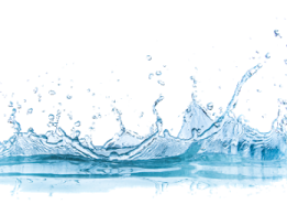 water splash on a white background