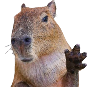 a capy with its paws on the ground