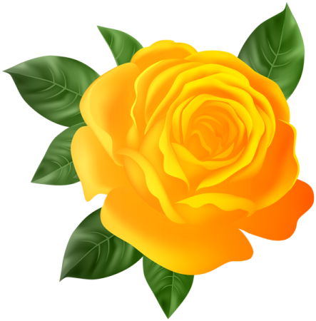 a yellow rose with green leaves