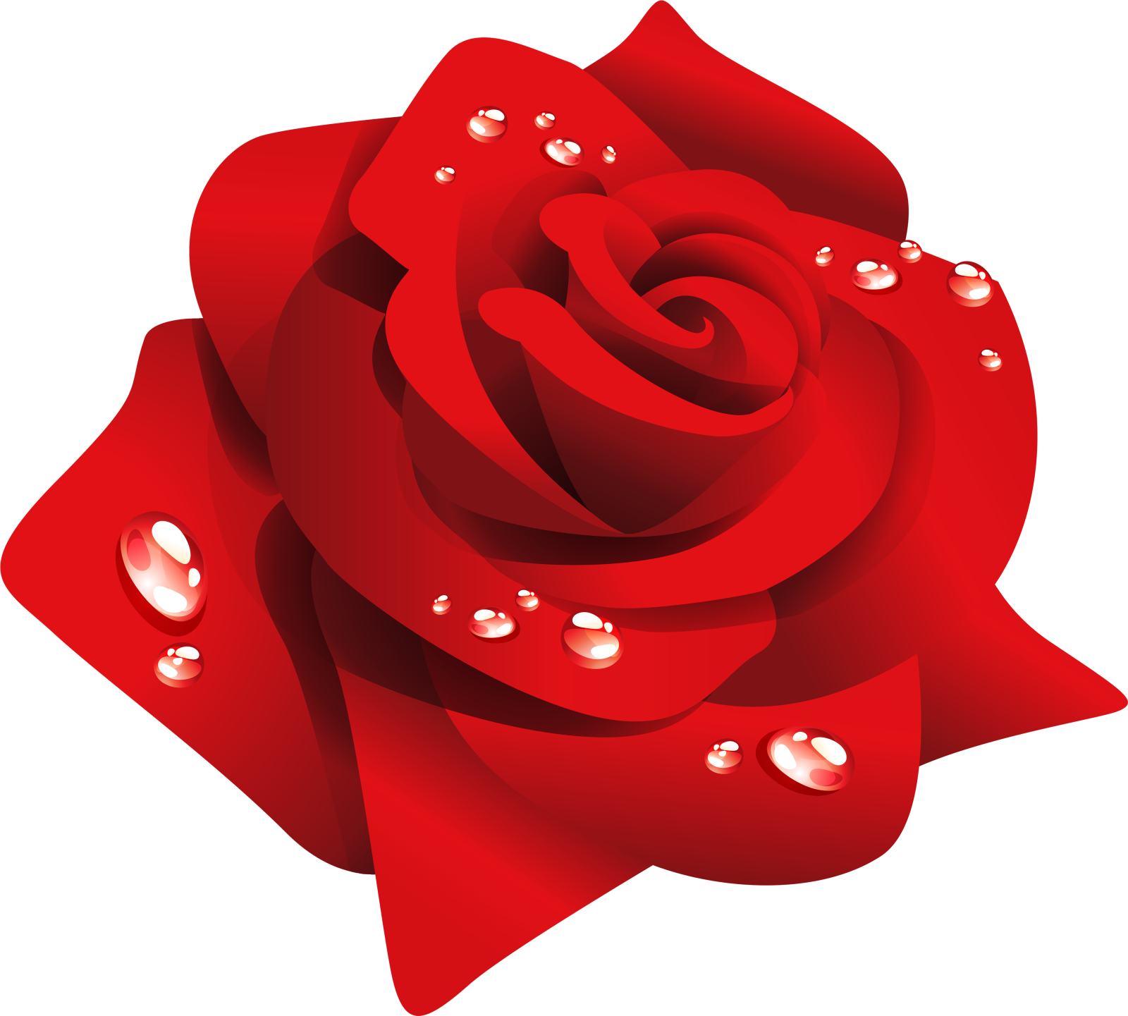 a red rose with water droplets on it