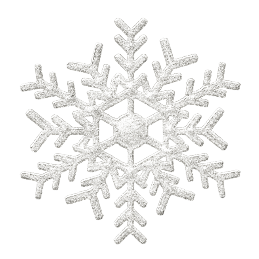 a silver snowflake on a white background