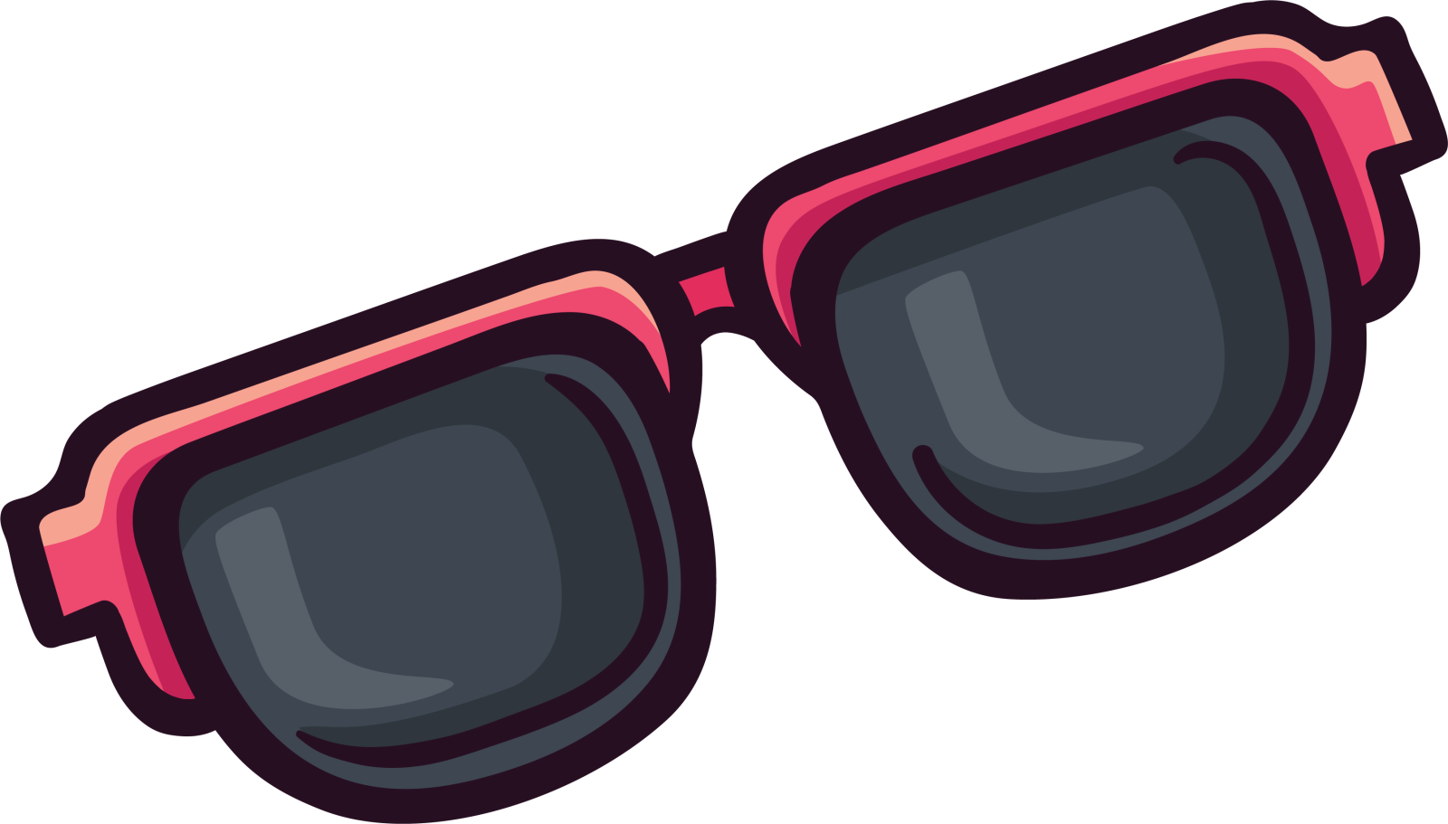 a pair of sunglasses
