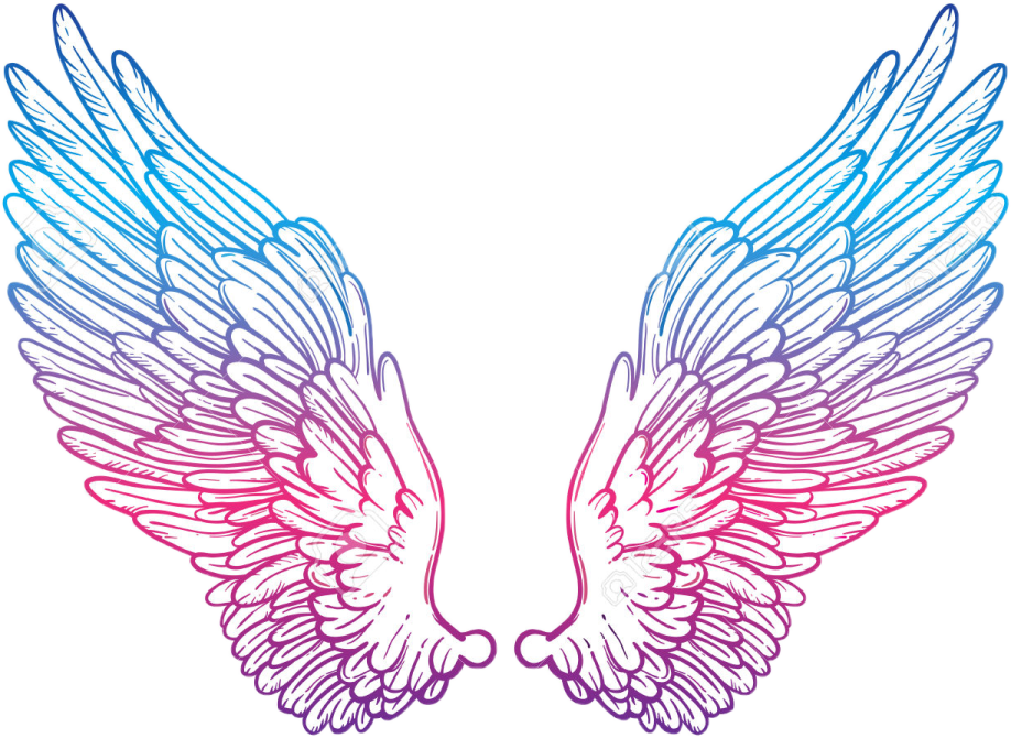 a pair of wings