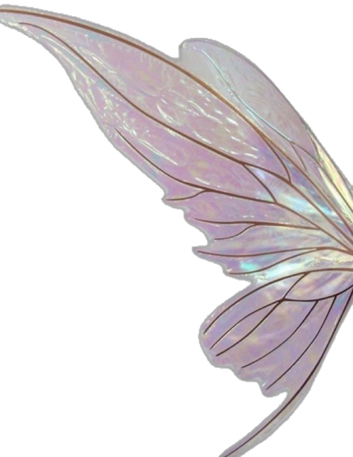 a white and purple butterfly wing
