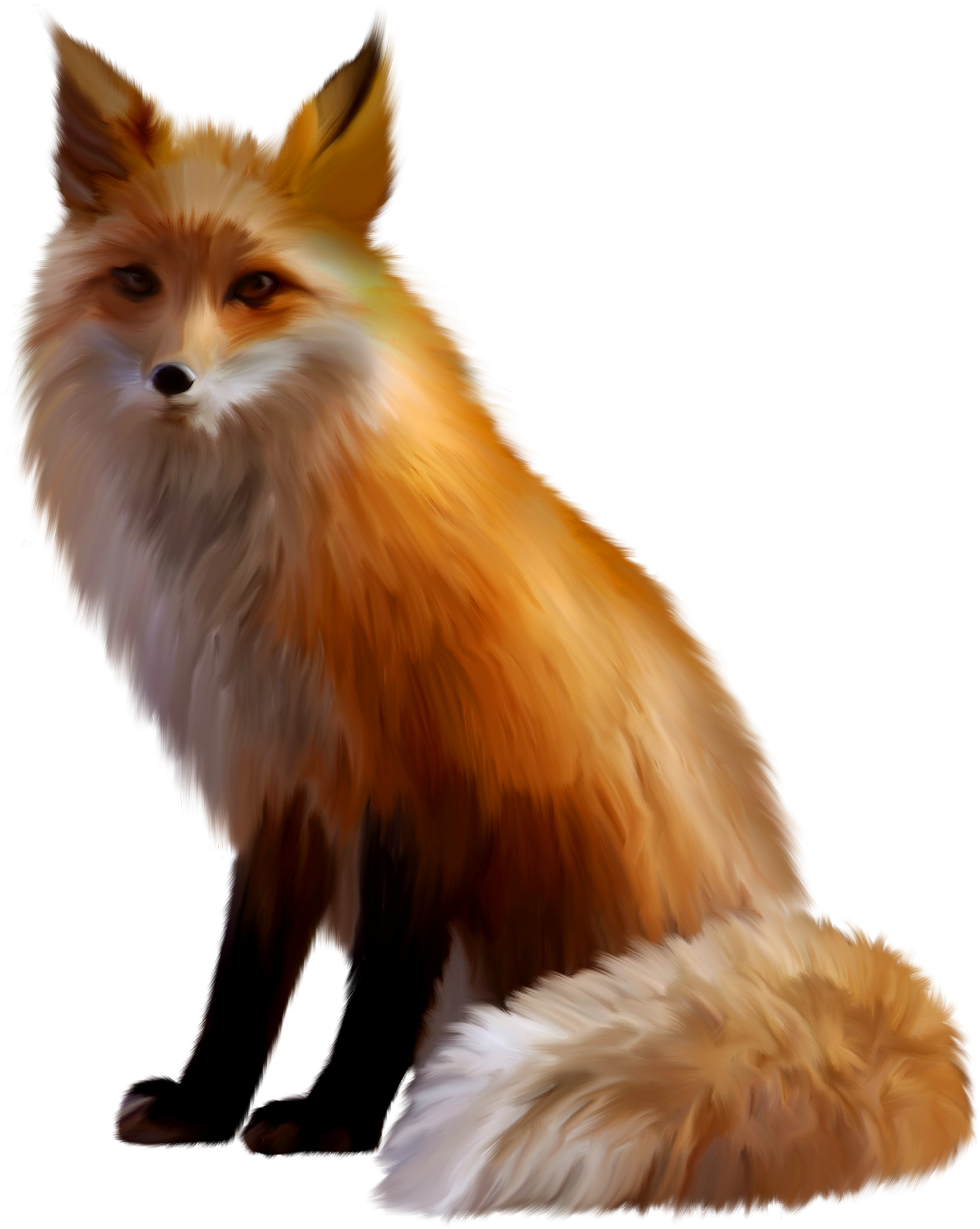 a drawing of a red fox sitting down