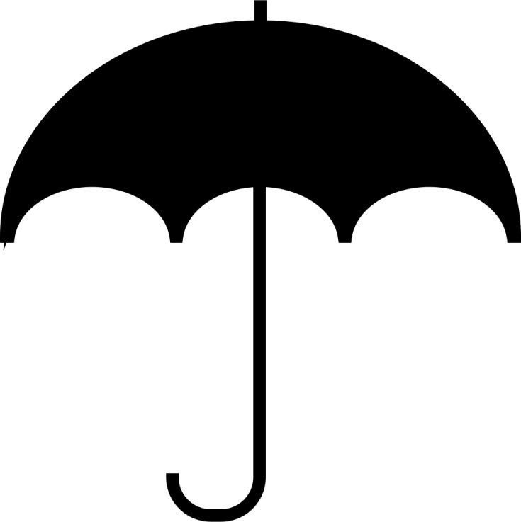 a black and white image of an umbrella
