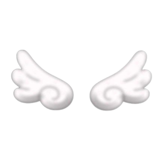 a pair of angel wings on a white background