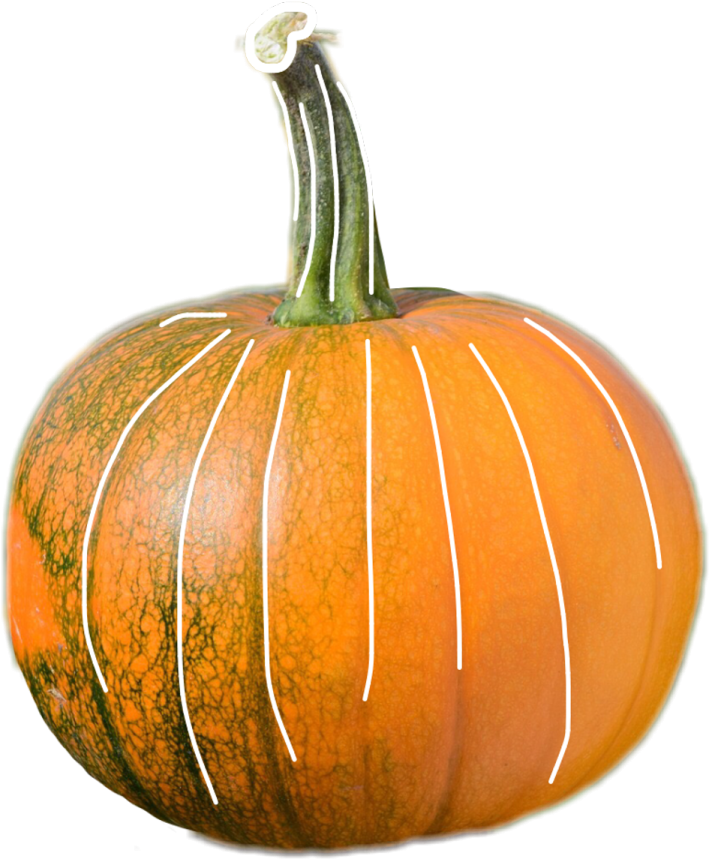 a large orange pumpkin on a white background