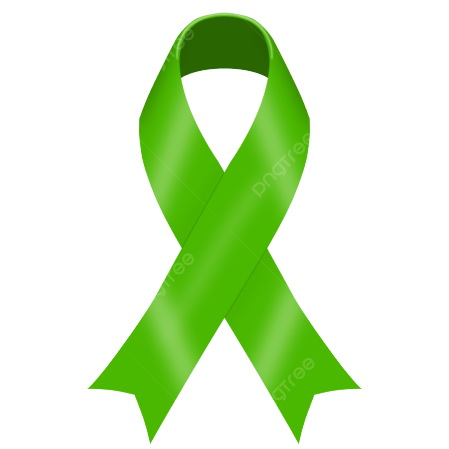 a green ribbon on a white background