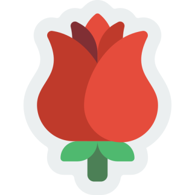 a red flower on a white background