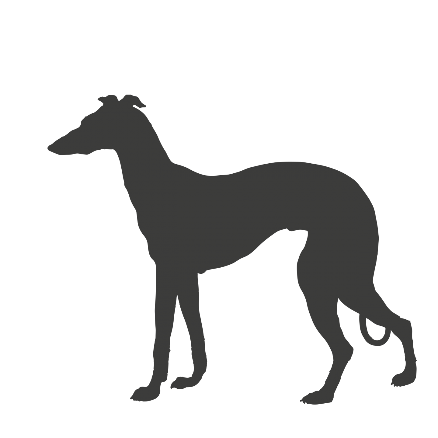 a dog silhouetted on a white background