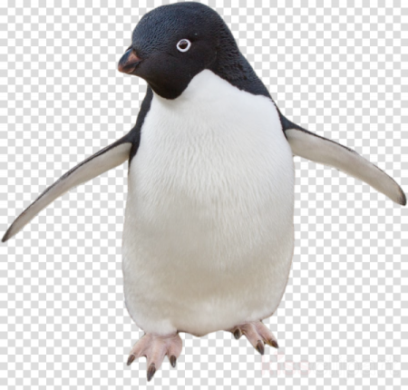 a penguin standing on its hinds clipart