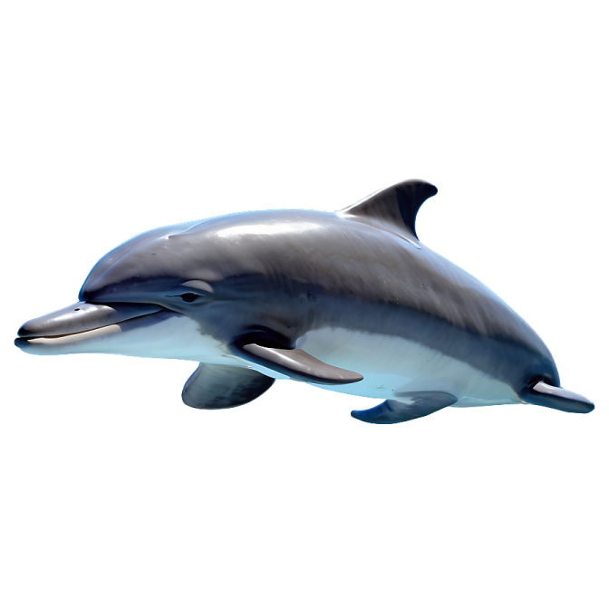 a dolphin jumping in the air on a white background