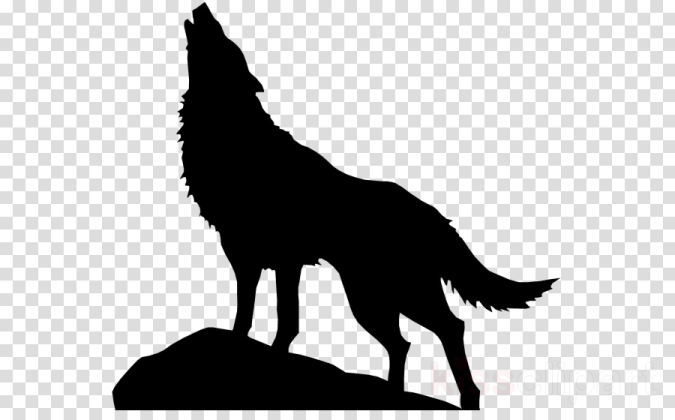 a silhouette of a wolf standing on a rock