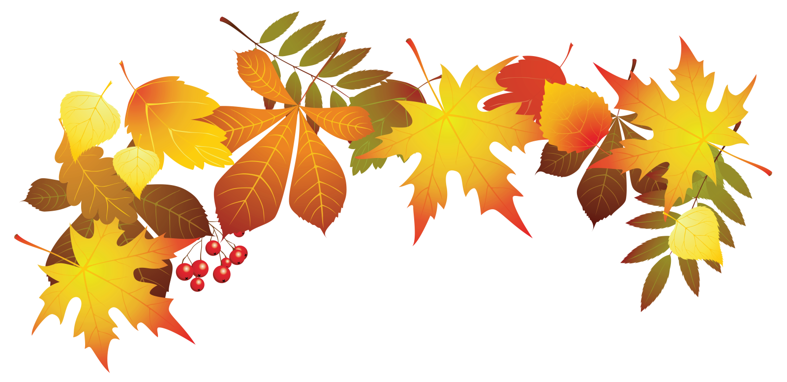 a bunch of autumn leaves and berries