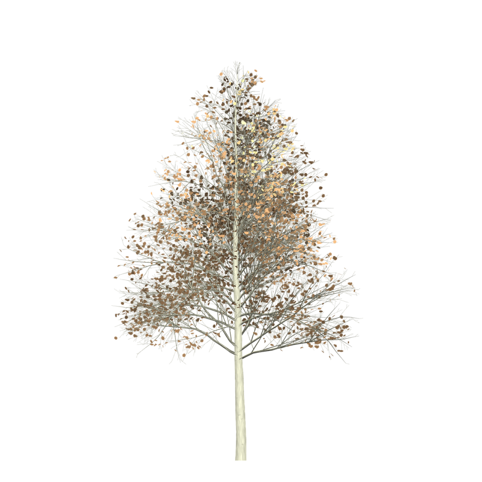 an illustration of a tree with leaves on it