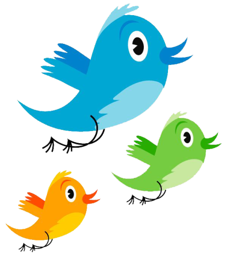 three colorful birds on a white background