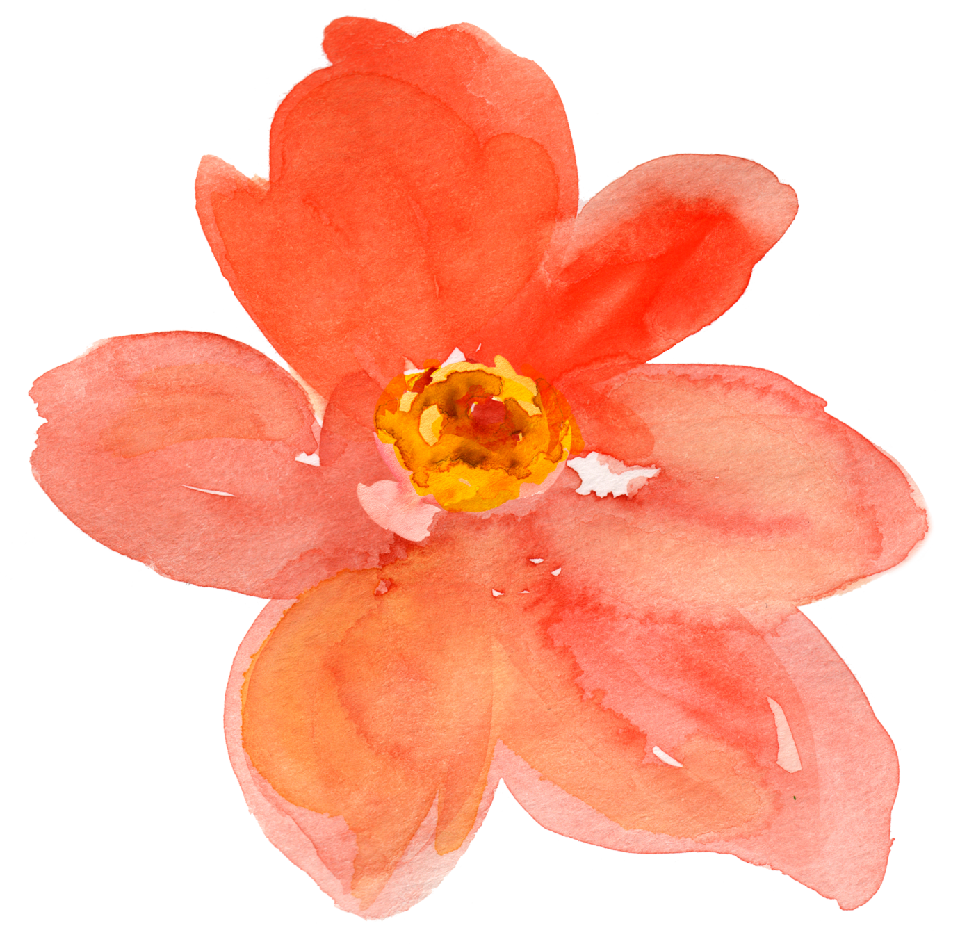 a watercolor painting of an orange flower