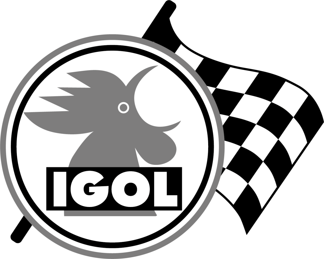 a black and white logo with a checkered flag