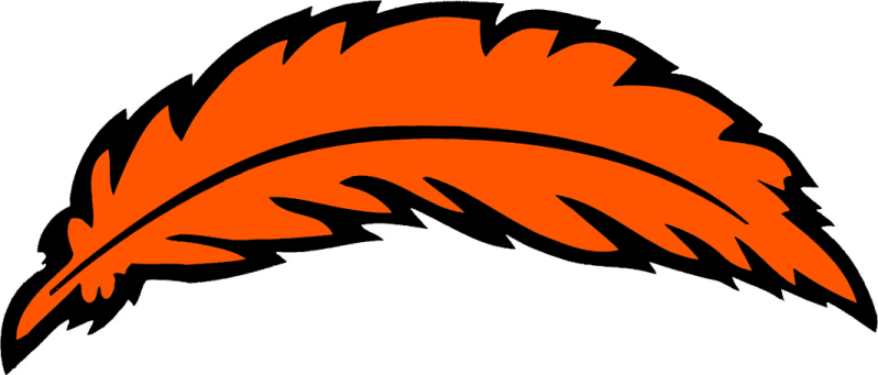 an orange feather on a white background