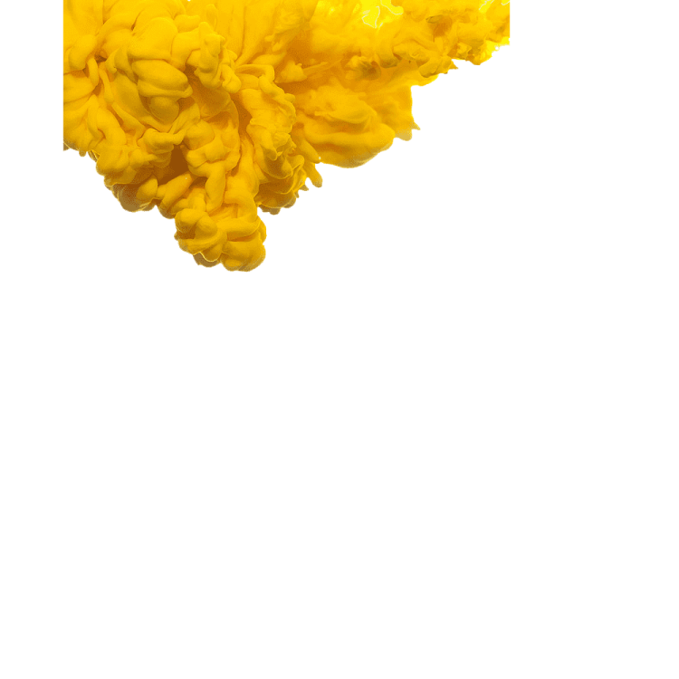 a yellow flower on a white background