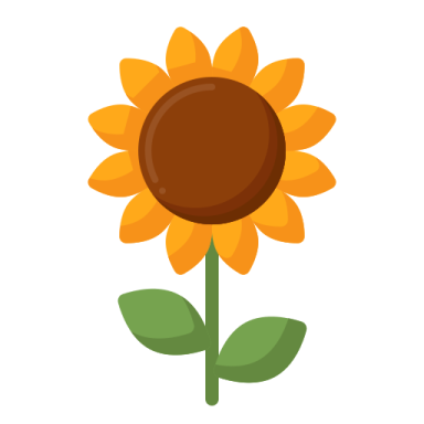 a sunflower on a white background