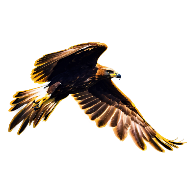 a bird flying in the air with its wings spread