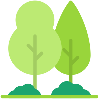 two trees with green leaves