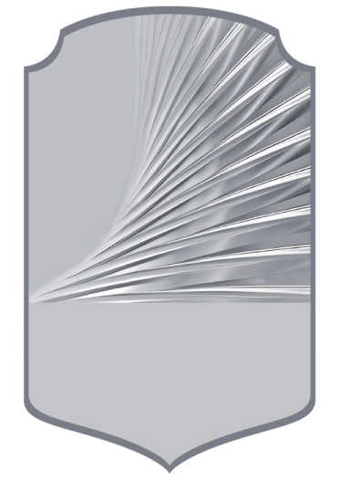 a silver shield with a white background