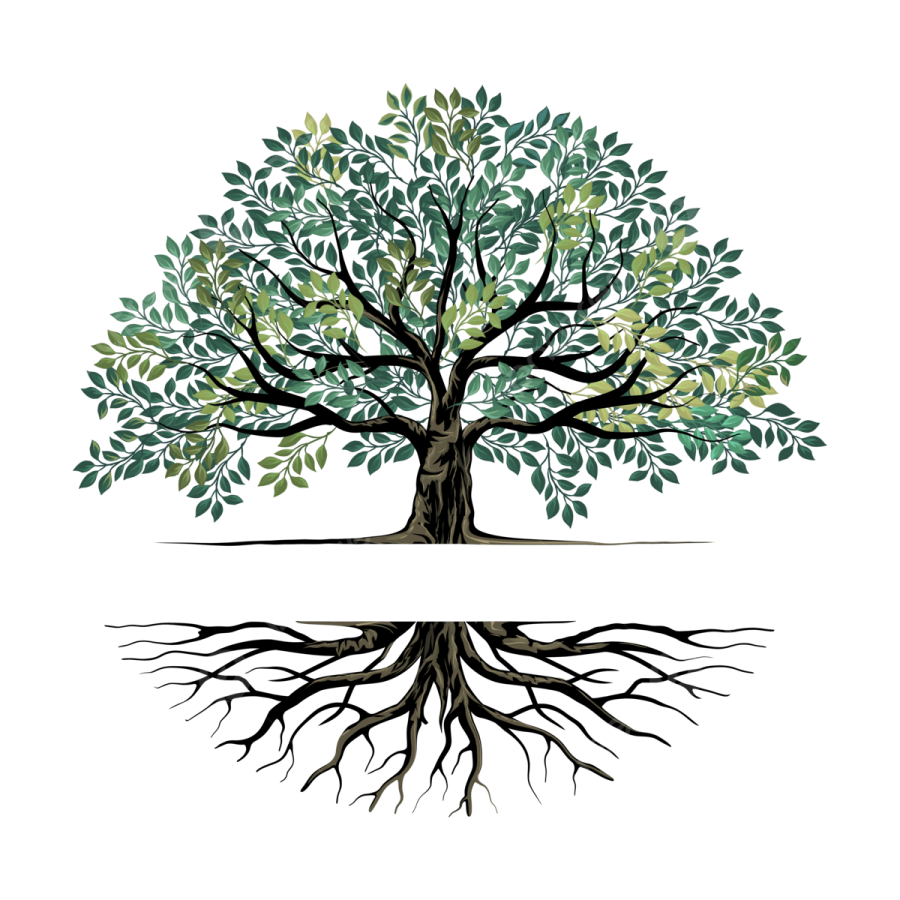 a tree with green leaves and roots