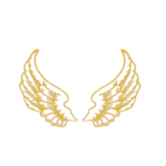 a pair of gold wings
