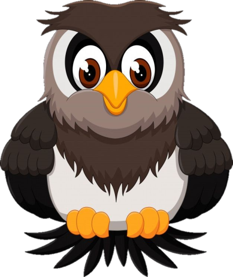 an owl with big eyes sitting on the ground