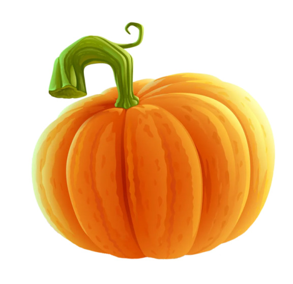 a pumpkin on a white background