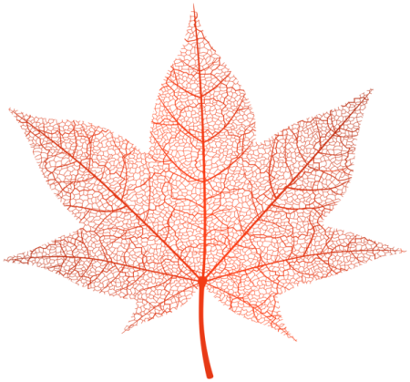 a leaf made out of leaves