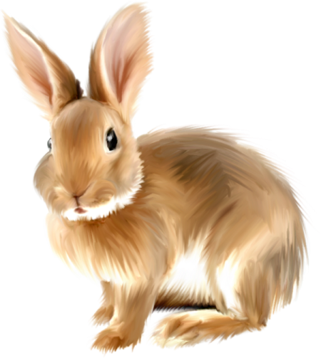 a drawing of a rabbit on a white background