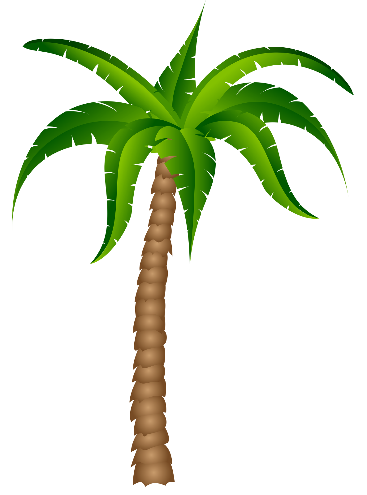 a palm tree with green leaves