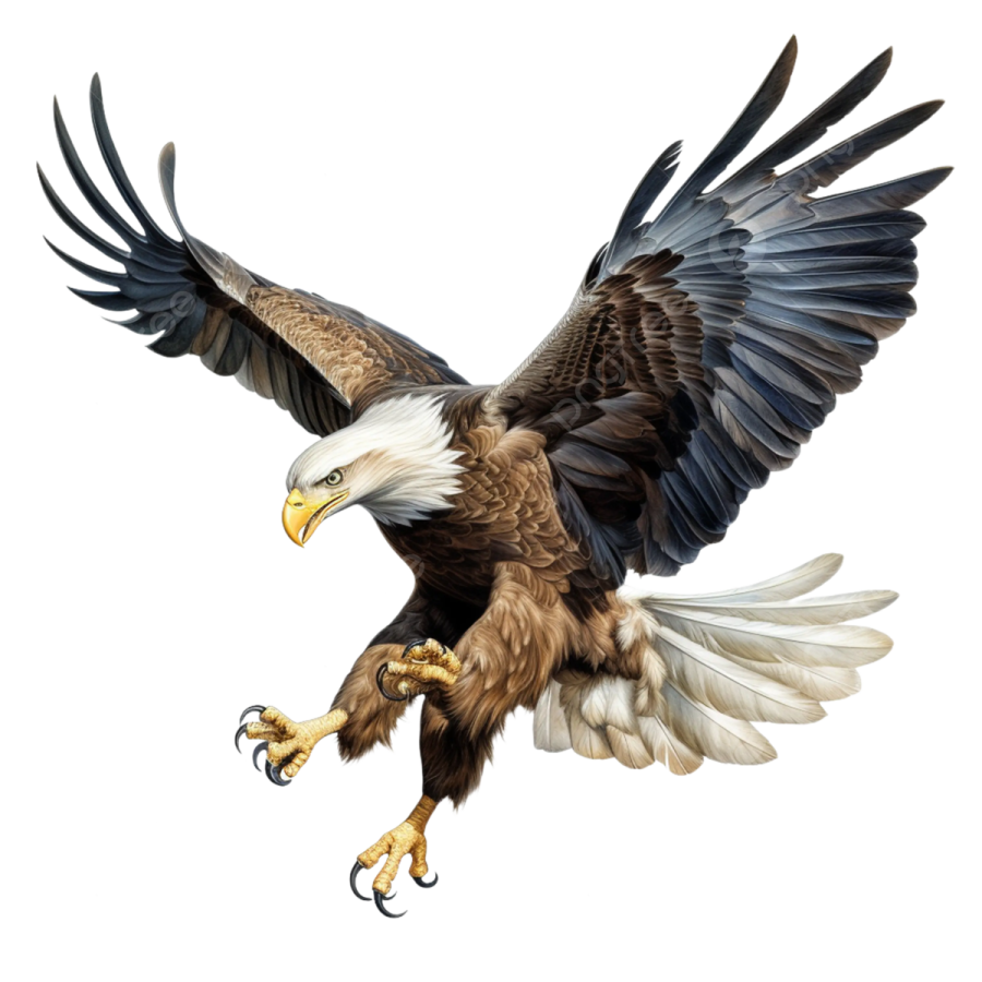 an eagle in flight with its wings spread