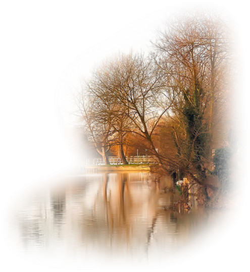 a body of water