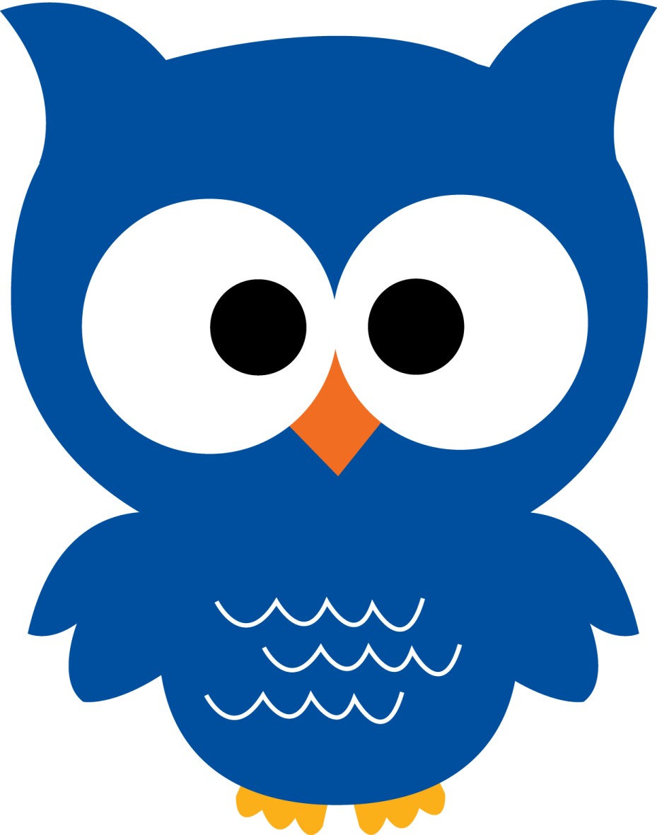 an image of an owl with big eyes