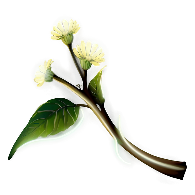 a yellow flower on a white background