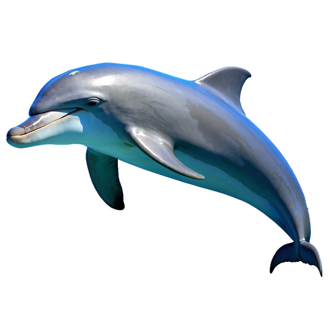 a dolphin jumping in the air with its mouth open
