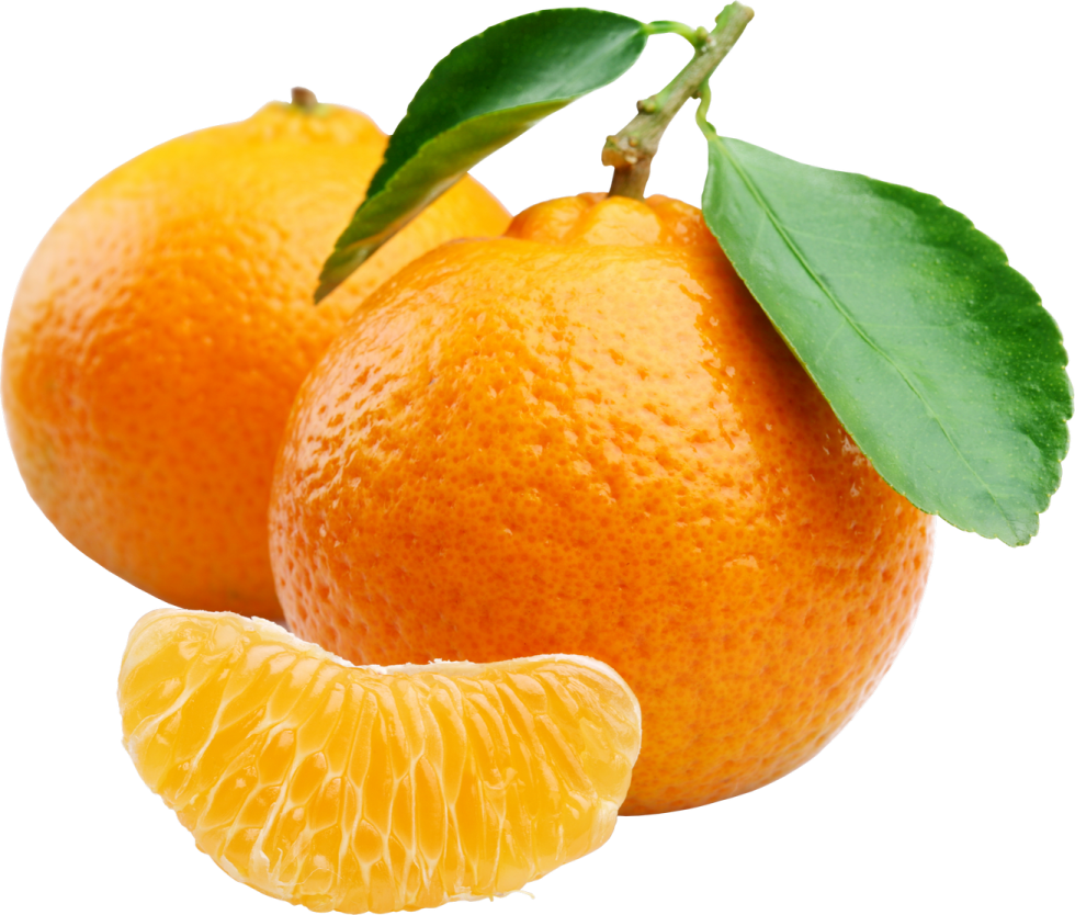 two oranges with leaves on a white background