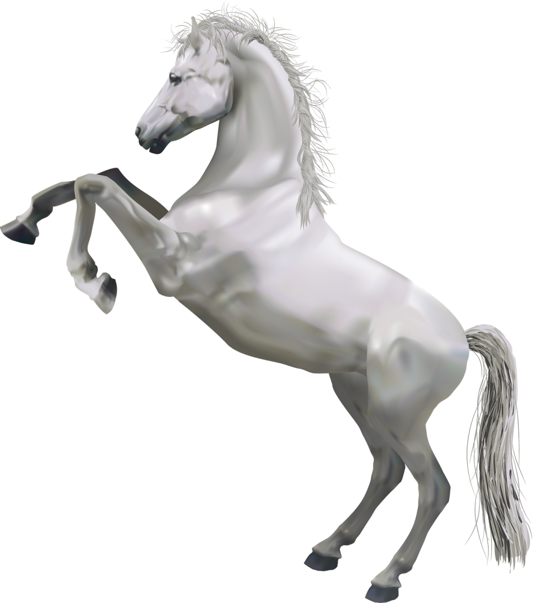 a white horse standing on its hinds