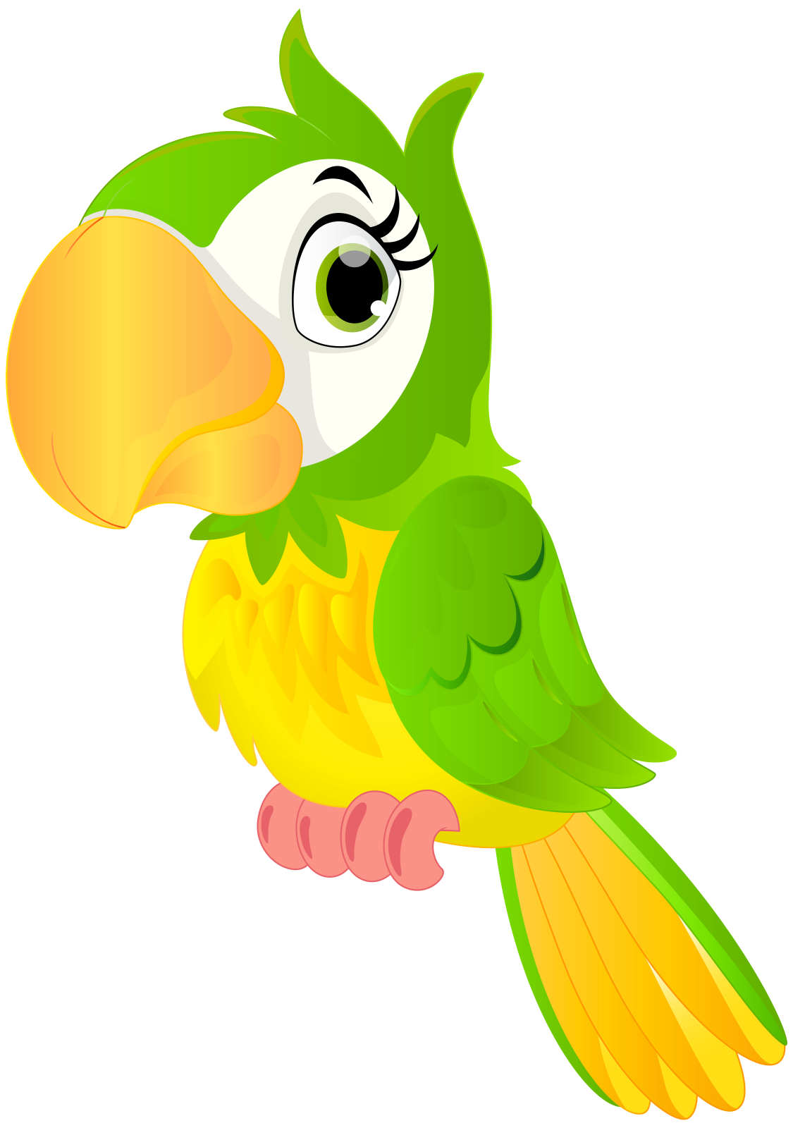 a green and yellow parrot sitting on a branch