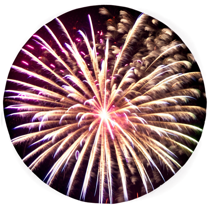 fireworks in the night sky