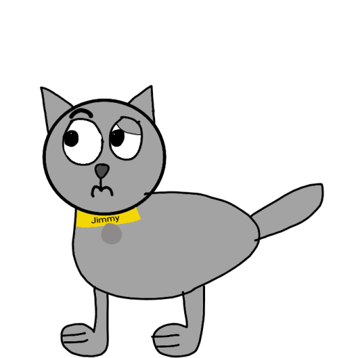 a gray cat with a yellow collar
