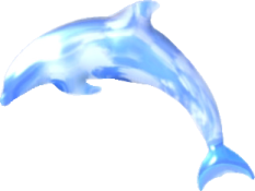 a dolphin jumping out of the water
